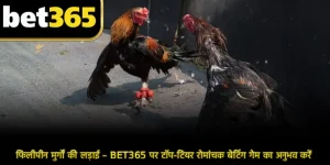 फिलीपीन मुर्गों की लड़ाई – BET365 पर टॉप-टियर रोमांचक बेटिंग गेम का अनुभव करें