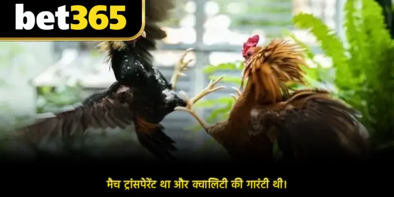 मैच ट्रांसपेरेंट था और क्वालिटी की गारंटी थी।