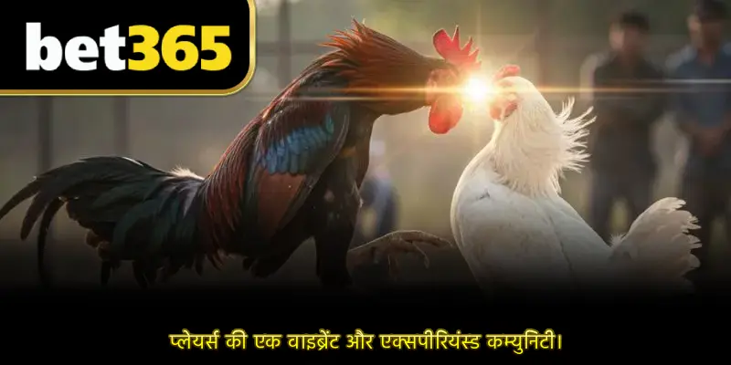 प्लेयर्स की एक वाइब्रेंट और एक्सपीरियंस्ड कम्युनिटी।